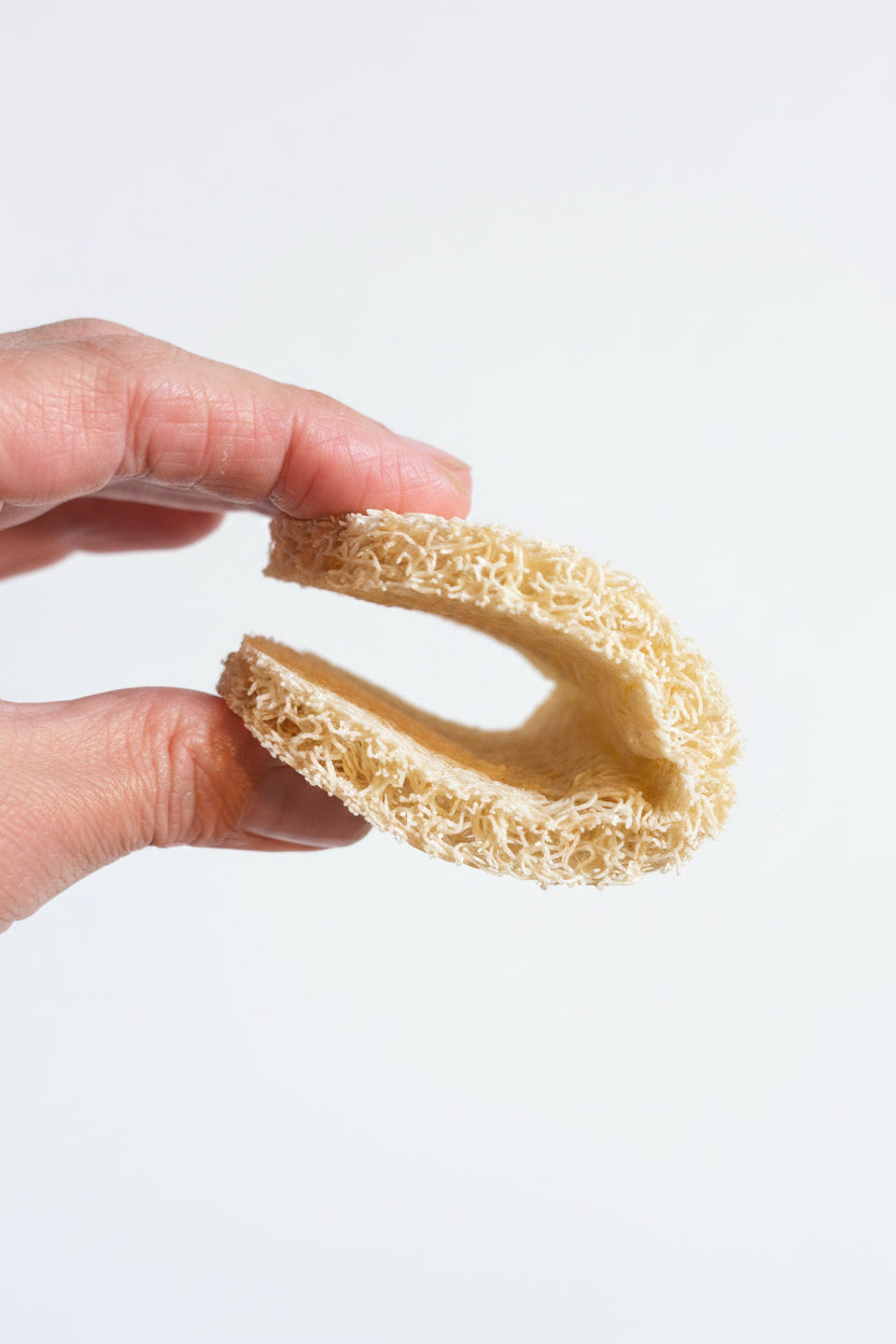 Hand holding a natural sponge on a wooden surface