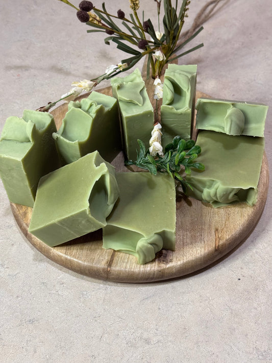Tea Tree